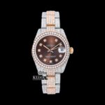 Diamond Markers Brown Dial Two Tone Iced Out Moissanite Watch