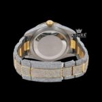 White Stick Markers Dual Time Dial Two Tone Iced Out Moissanite Watch Caseback View